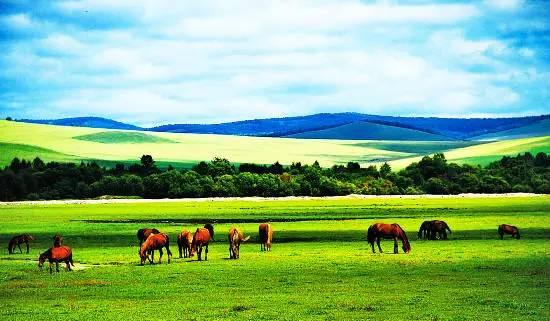 内蒙古草原之韵,人生的励志之旅