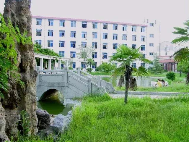 外交部发言人就湖北相关评论文章表态