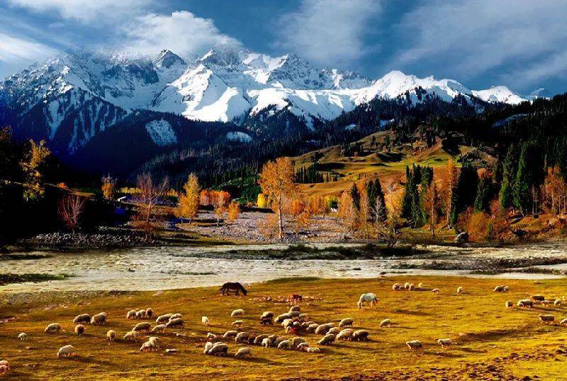 千年美梦,探寻新疆的独特魅力