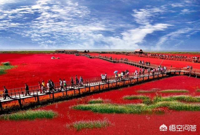 盘锦，未来科技重塑生活，领略魅力之城的高科技风采